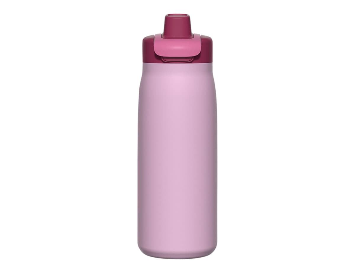 Oasis Flip-Top S/S D/Wall Ins. Drink Bottle 600ml