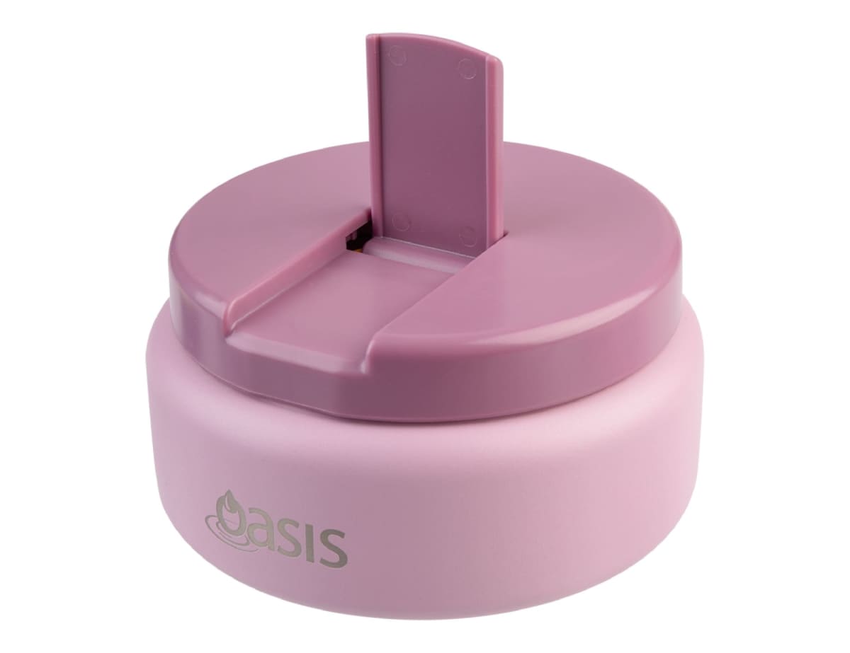Oasis 230ml Insulated Quick Release Food Flask