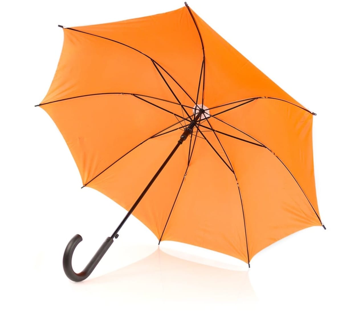 Umbrella Cardin