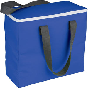 Arctic Zone® 30-Can Foldable Freezer Tote 18L