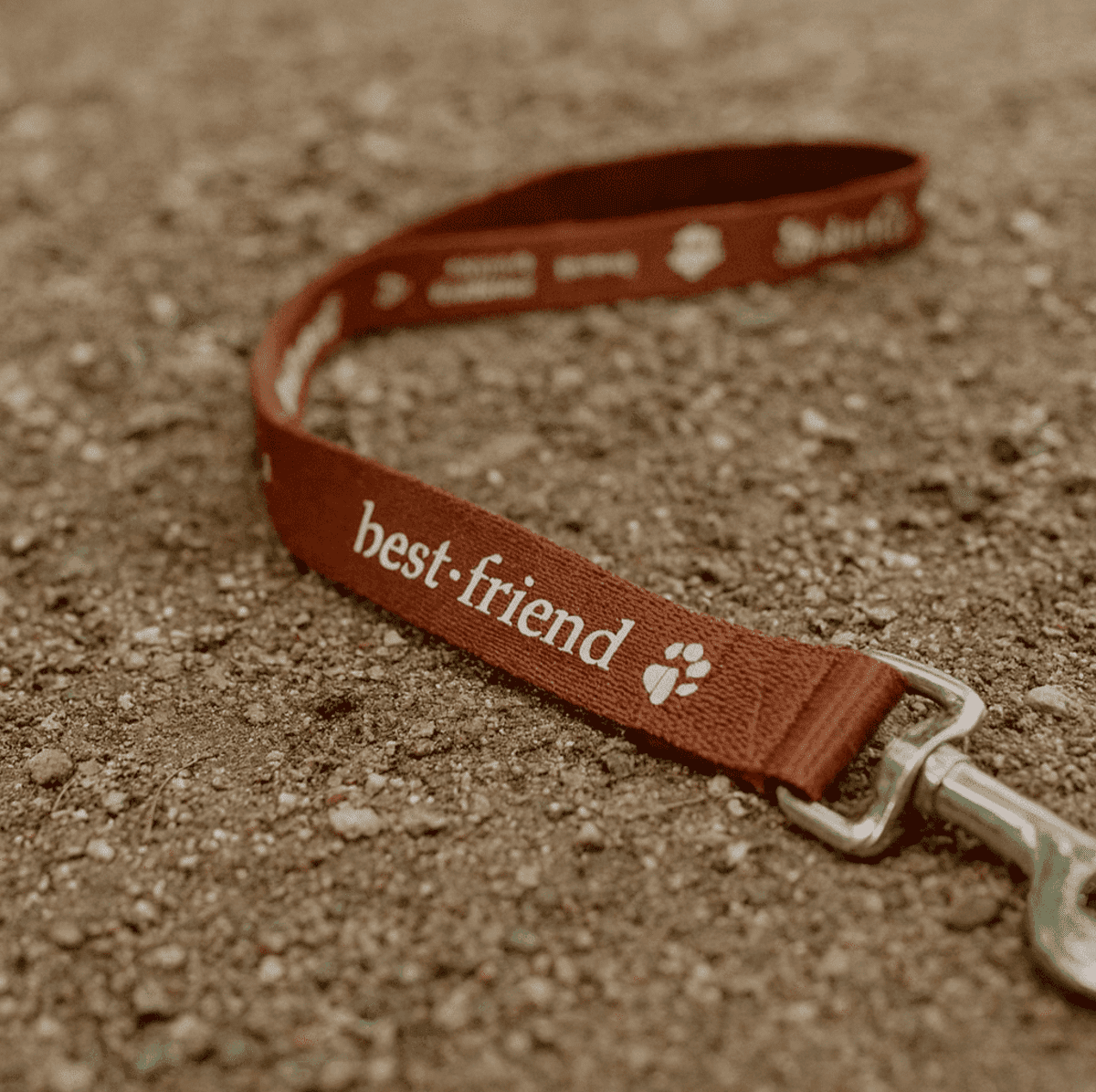 1.4M Dog Leash 19mm