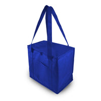 Tundra Cooler / Shopping Bag