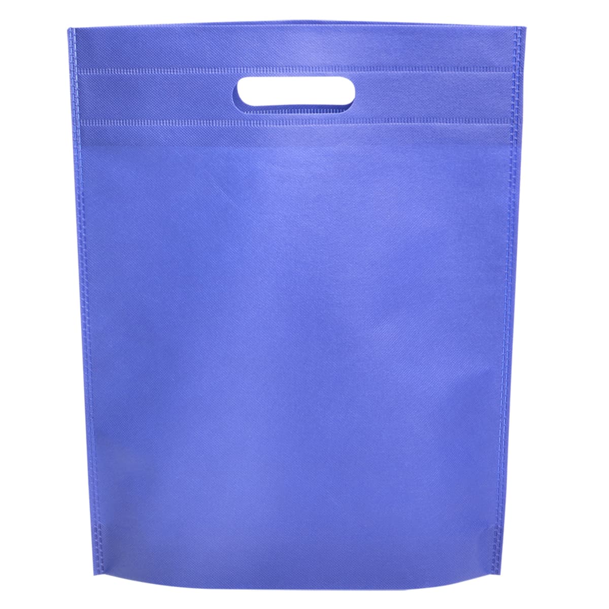 Non-Woven Gift Bag