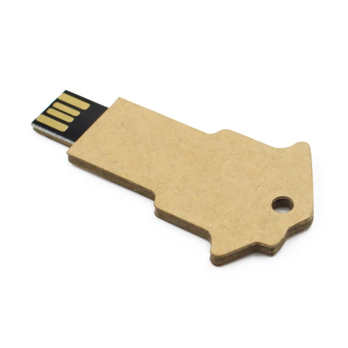 Lucas Eco Key Flash Drive