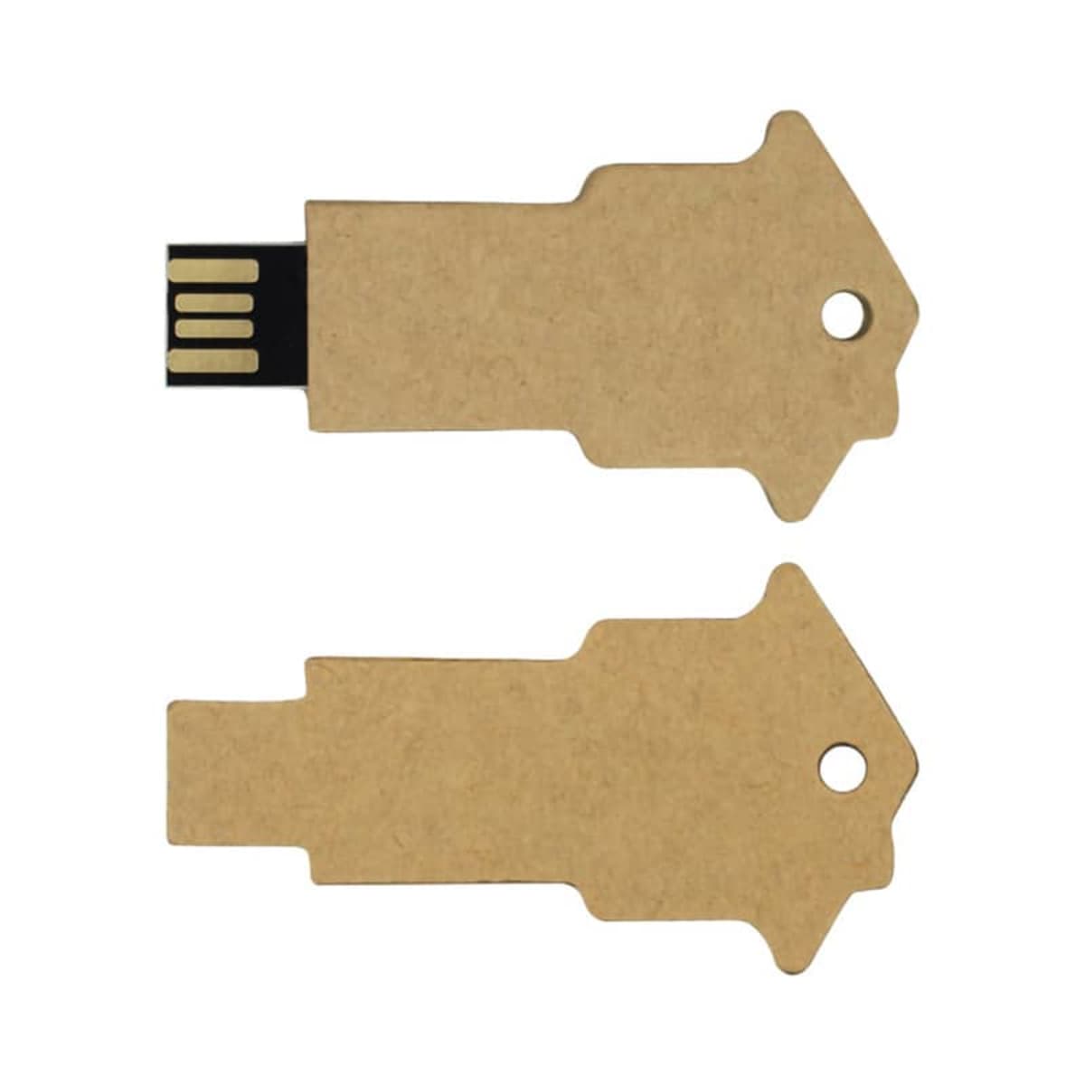 Lucas Eco Key Flash Drive