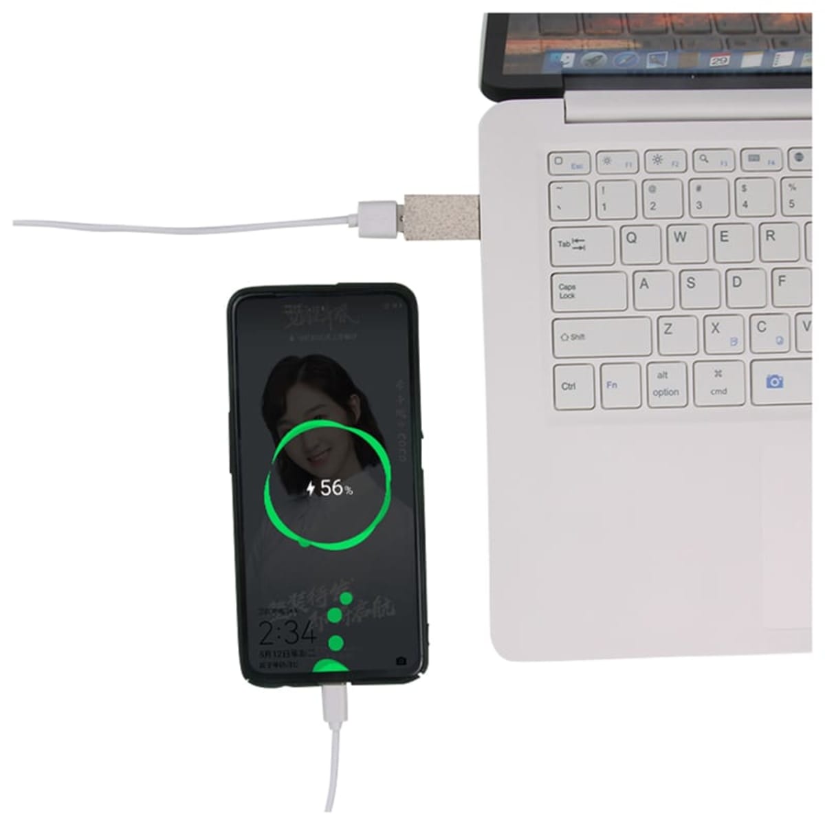 USB Data Blocker Eco - Wheat Straw