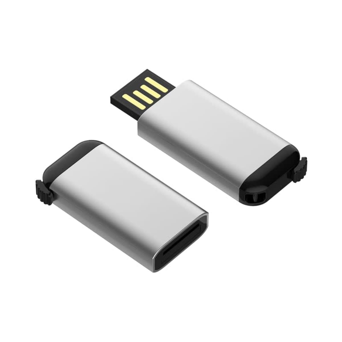 Regina Flash Drive