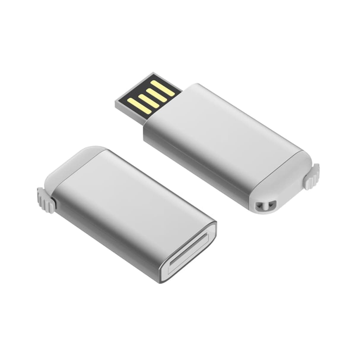 Regina Flash Drive