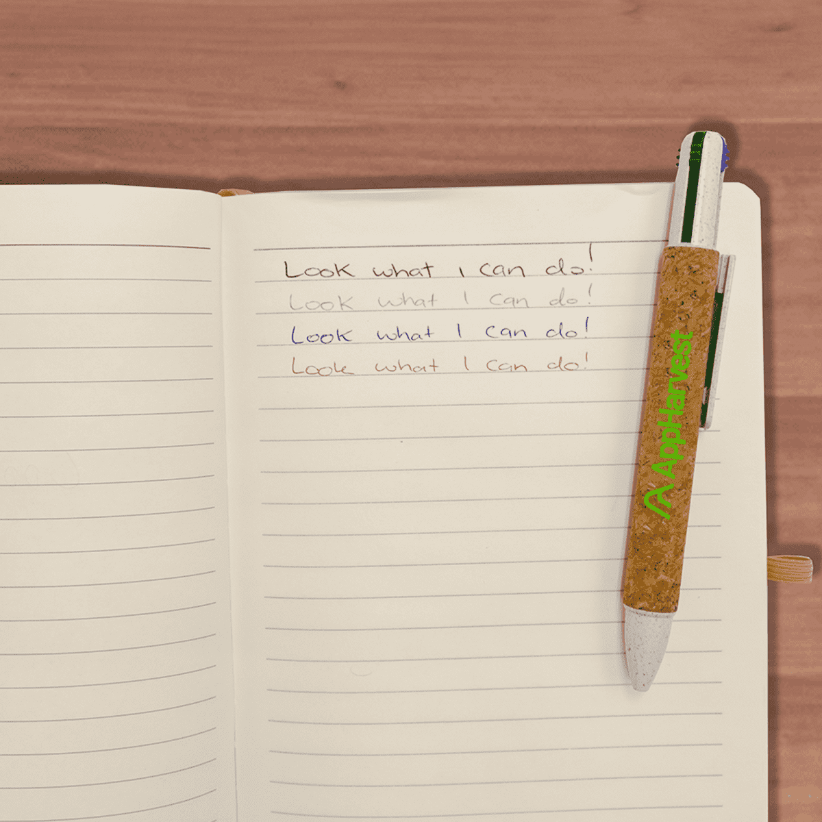 Kikla 4 Way Cork Pen