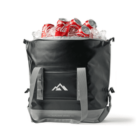 Premium 17L Foldable Cooler