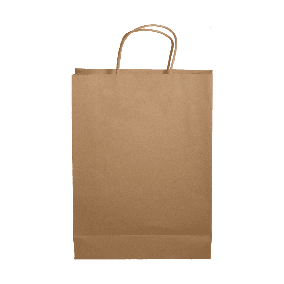 Paper Show Bag
