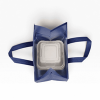 5L Insulated Reusable Bag