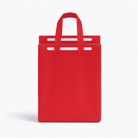 13L Insulated Reusable Bag