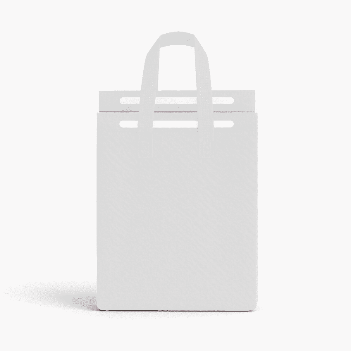 5L Insulated Reusable Bag