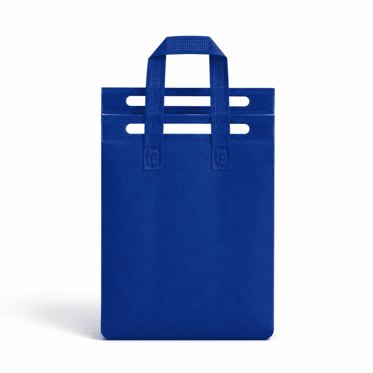 5L Insulated Reusable Bag