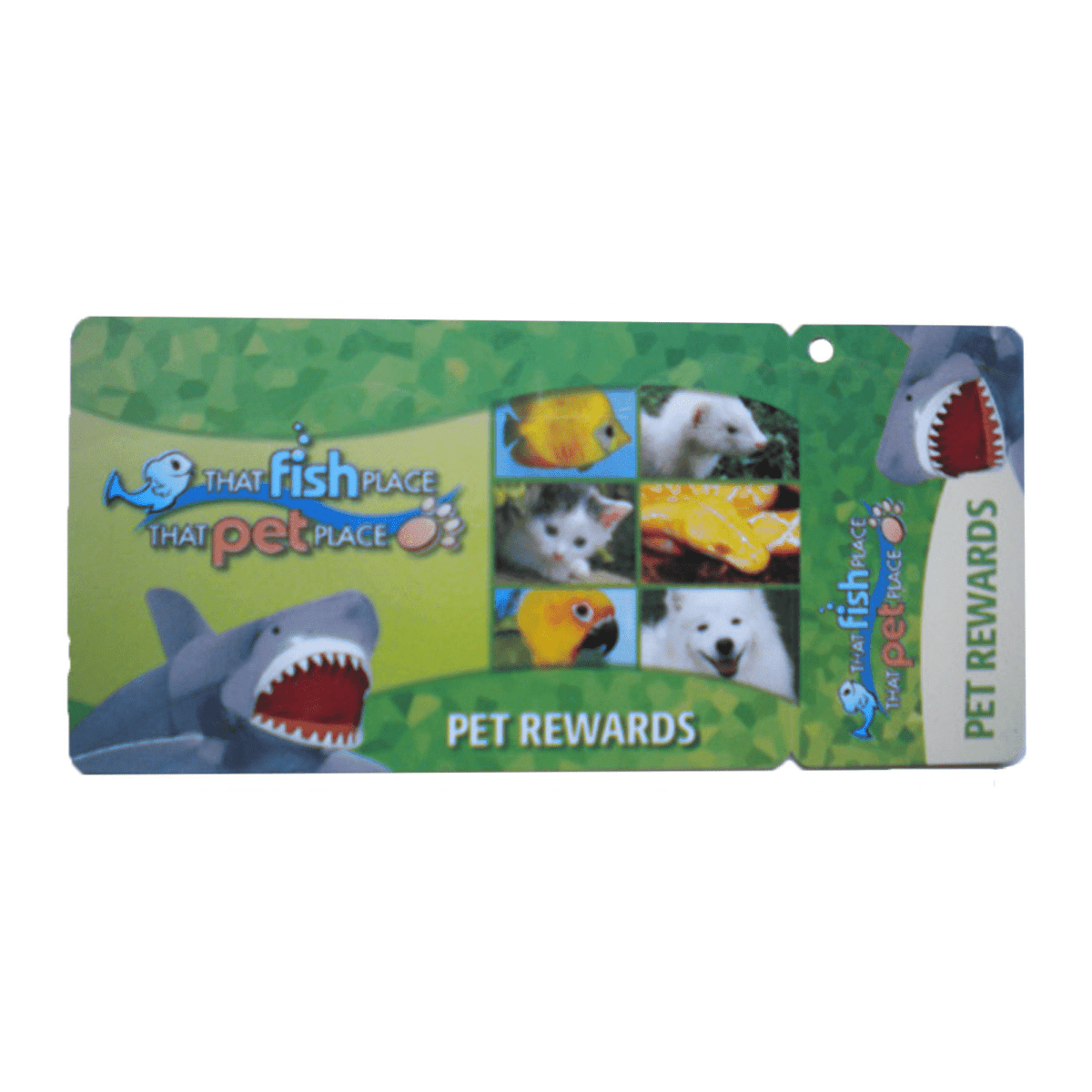 PVC Loyalty Card with 1 Key Tag
