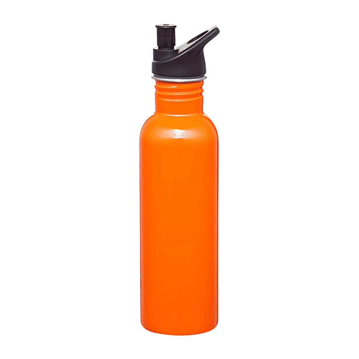 Carnival 750ml Water Bottle