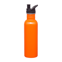 Carnival 750ml Water Bottle