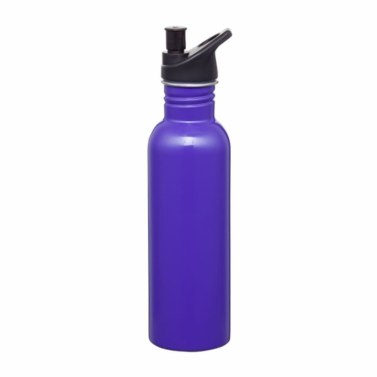 Carnival 750ml Water Bottle