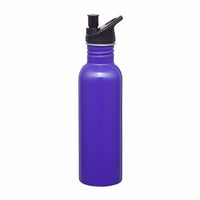 Carnival 750ml Water Bottle