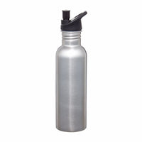 Carnival 750ml Water Bottle