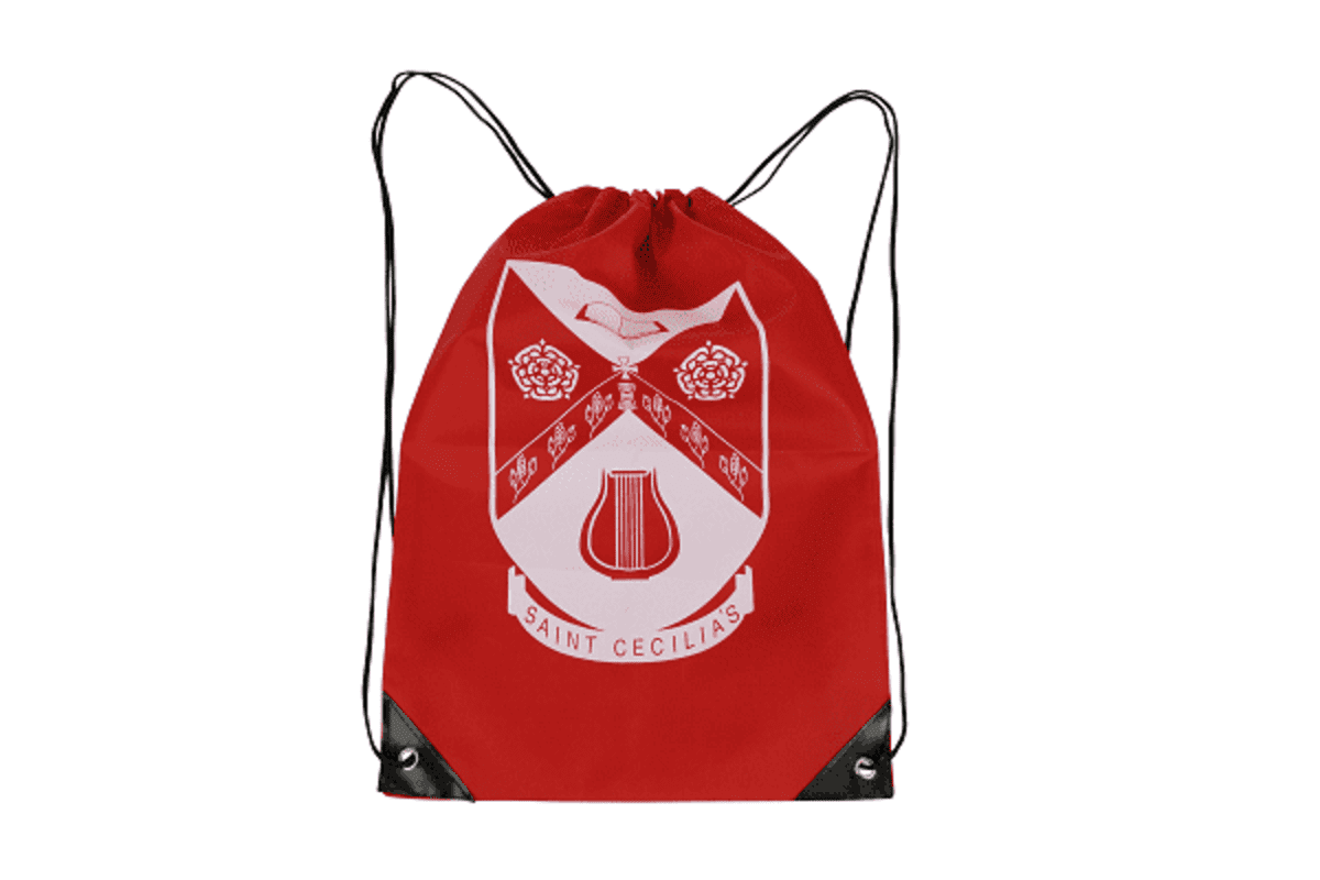 Drawstring Back Pack 300x435mm