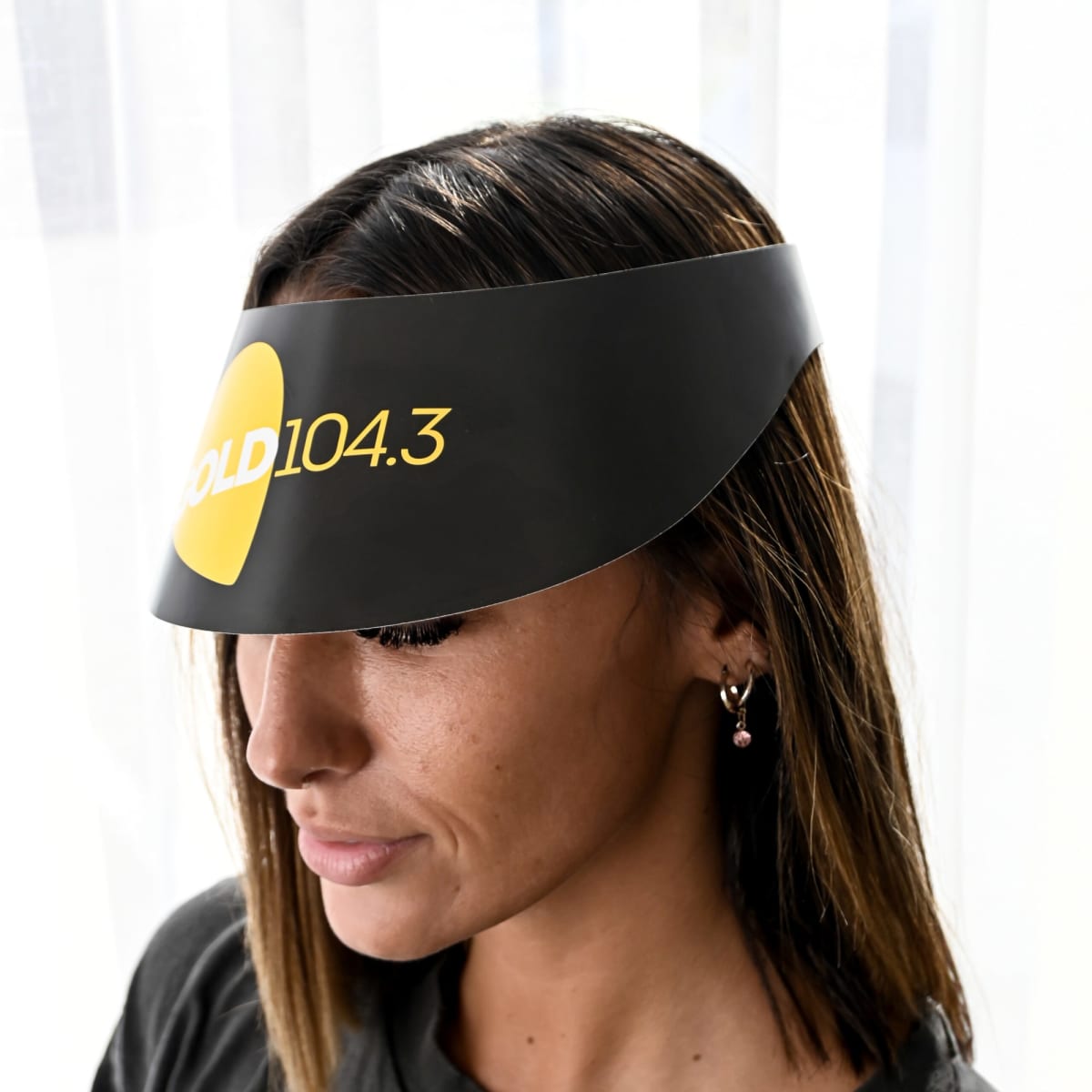 Sun Visors