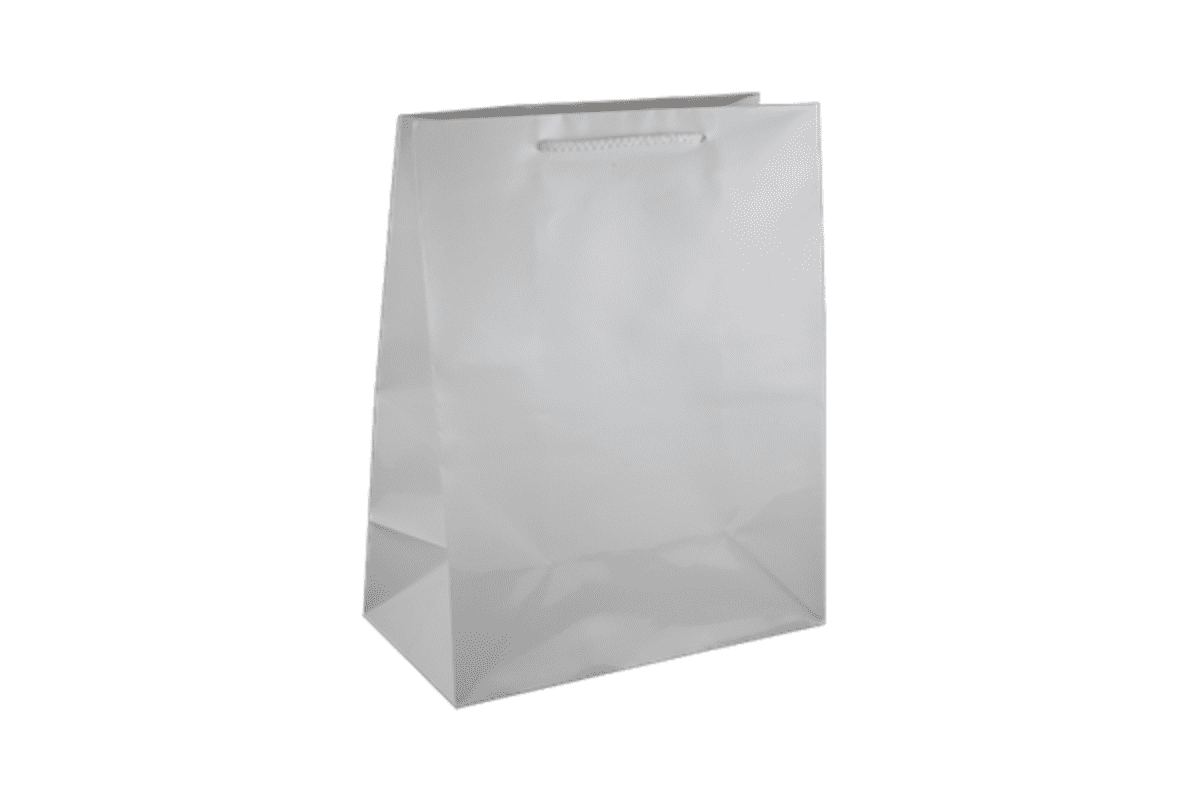 Medium White Gloss Laminated Paper Bag Printed