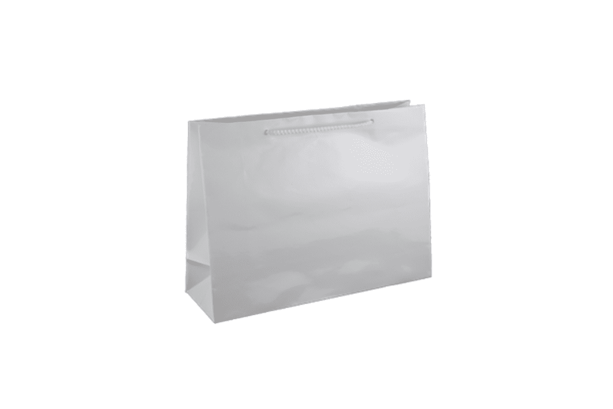 Small Boutique White Gloss Laminated Paper Bag Printed