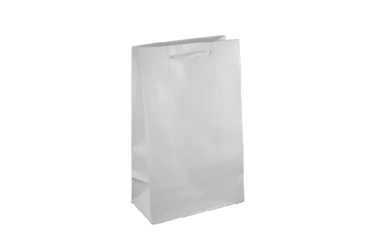 Small White Gloss Laminated Paper Bag Printed