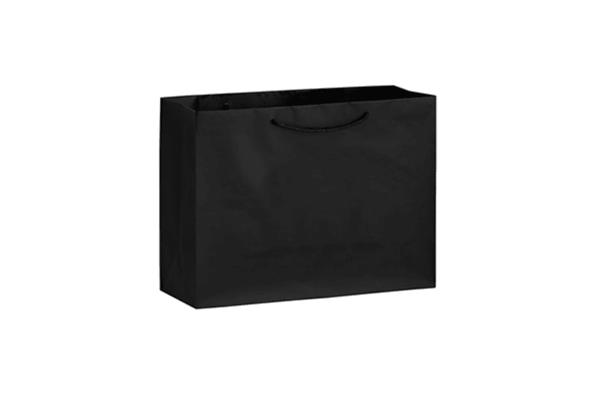 Small Boutique Matt Laminated Paper Bag Printed