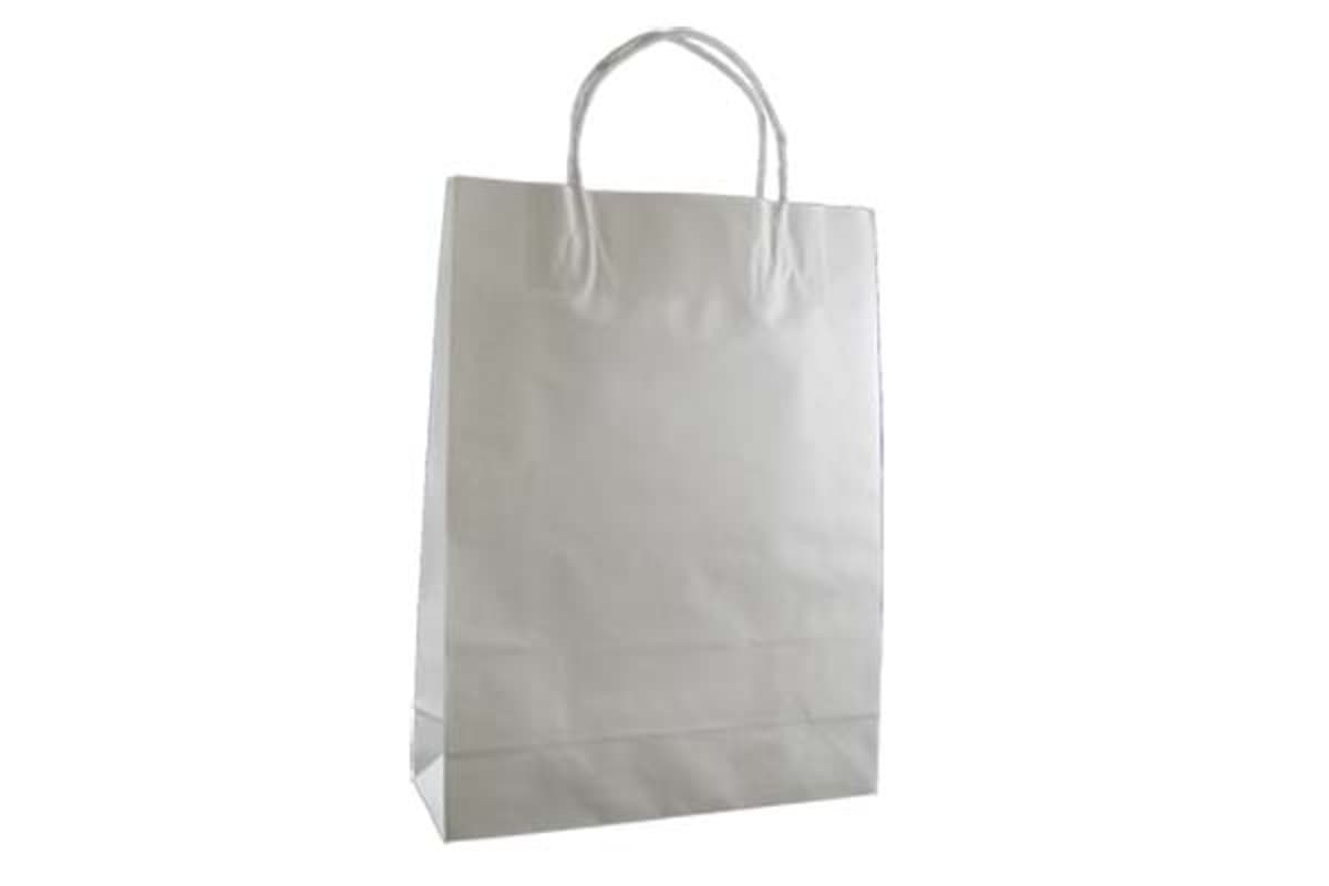 Small Standard White Kraft Paper Bag