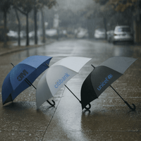 Corporate Umbrella