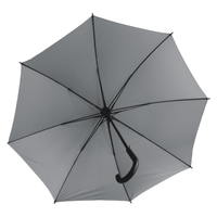Corporate Umbrella