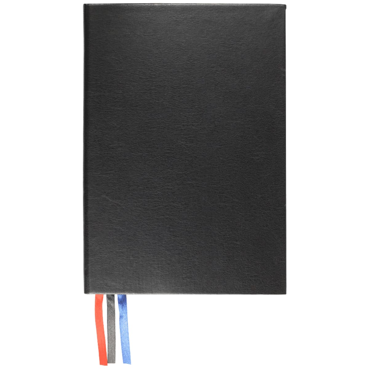 JournalBook Alder 365 Page Diary