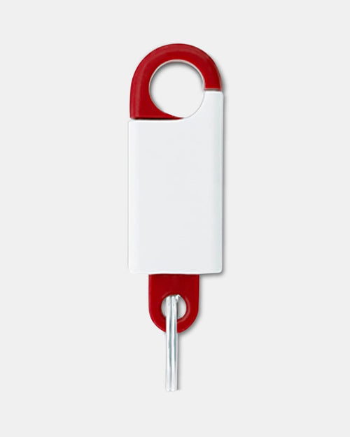 Spring Clip Keychain