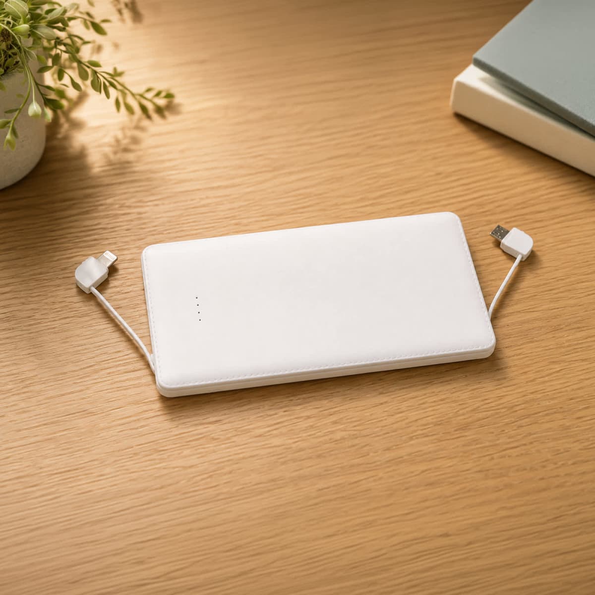 Nova Power Bank