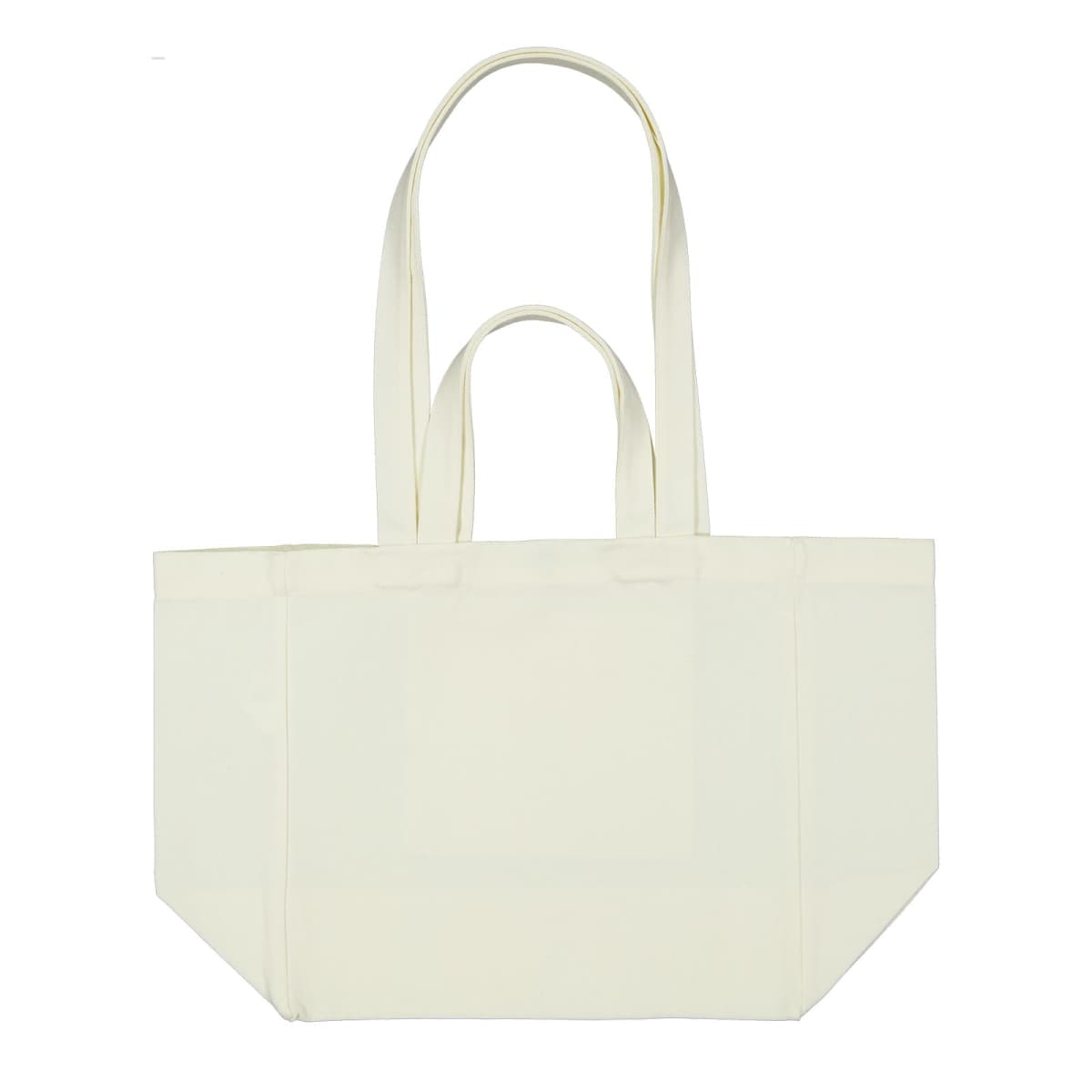 Splendid Canvas Bag