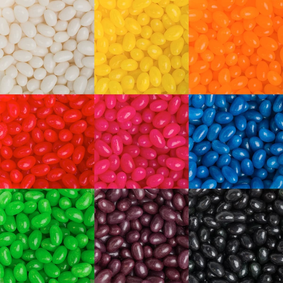 Corporate Colour Jelly Beans in 50g Box