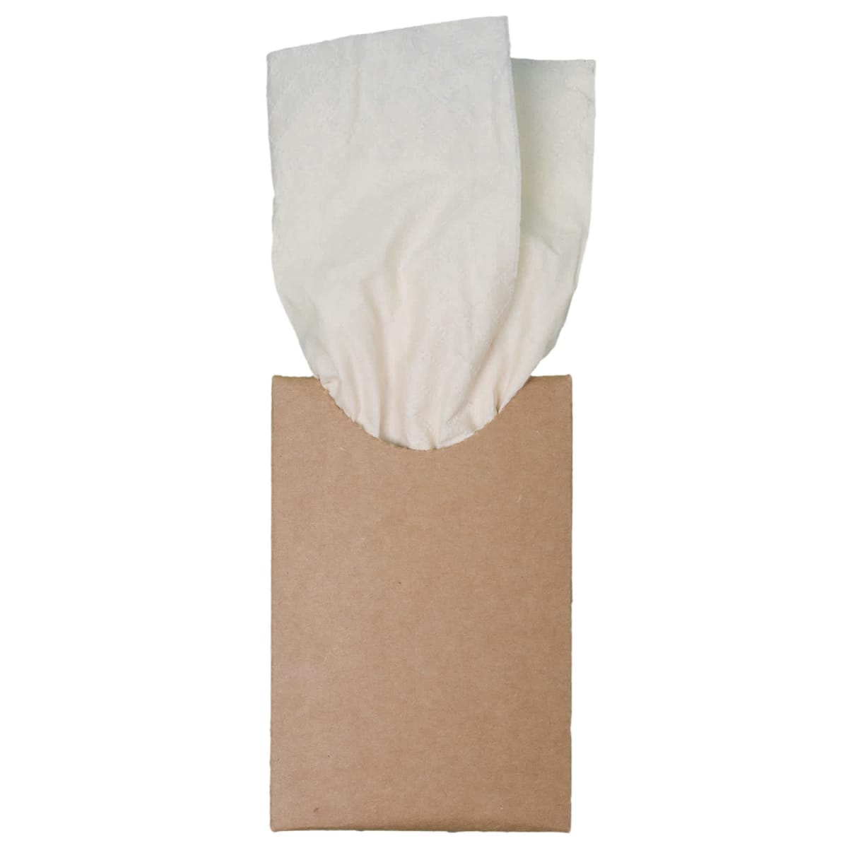 Bamboo Tissues
