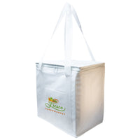 Tundra Cooler / Shopping Bag