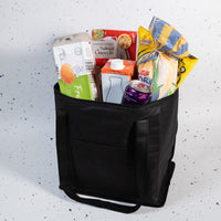 Tundra Cooler / Shopping Bag