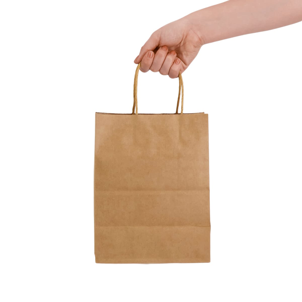Express Paper Bag Medium