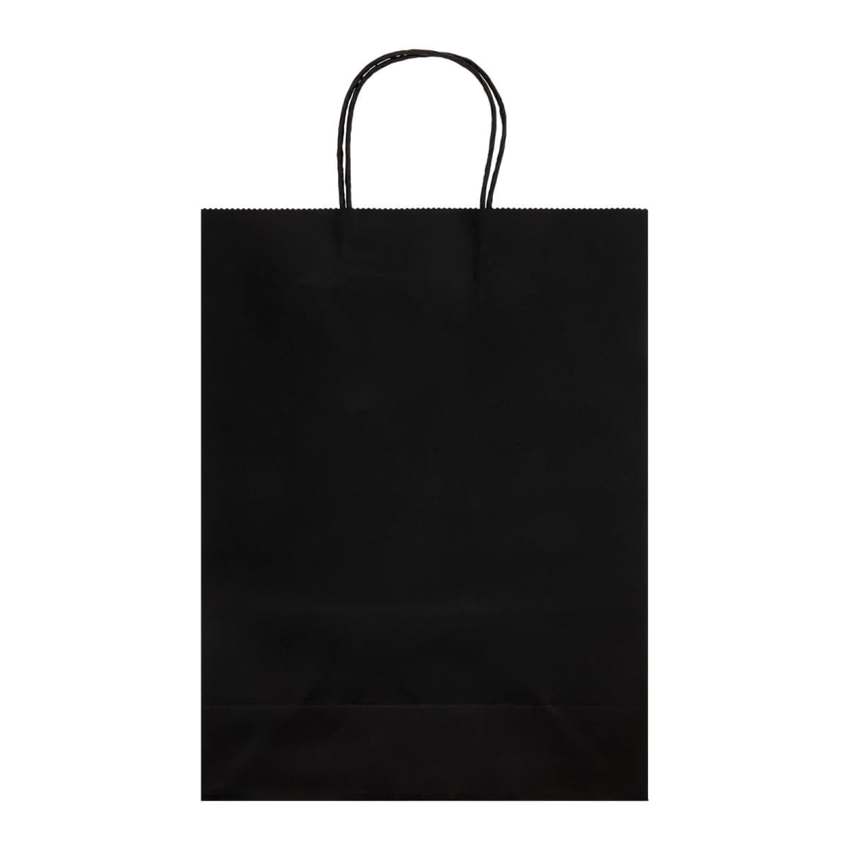 Express Paper Bag Large