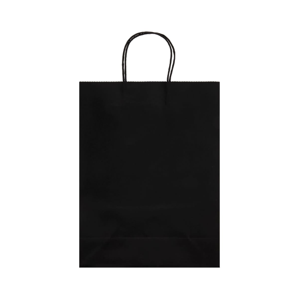 Express Paper Bag Large