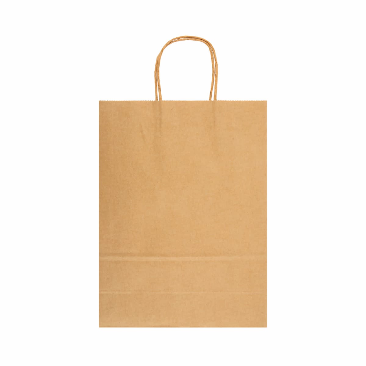 Express Paper Bag Large