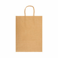 Express Paper Bag Large