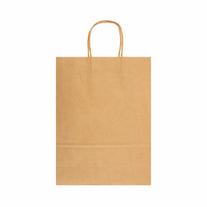 Express Paper Bag Large