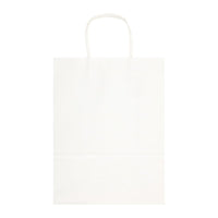Express Paper Bag Large