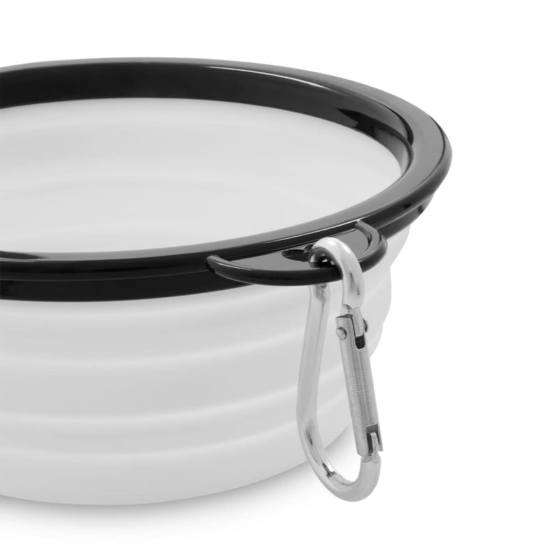 Buddy Collapsible Bowl